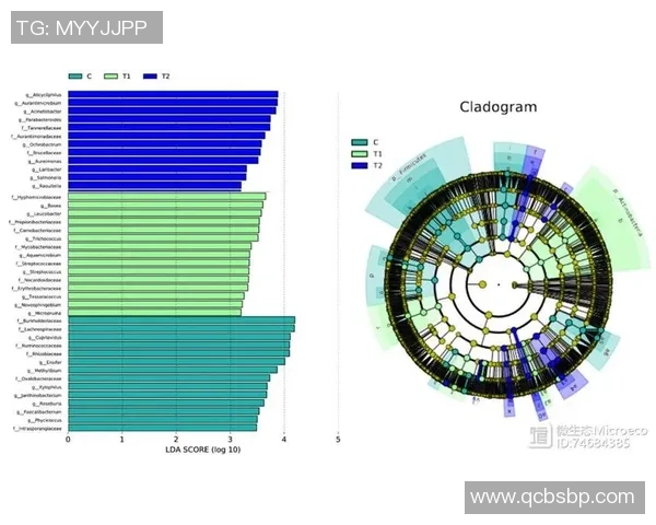 上海足球队选拔赛技术分析与表现评估全面解读