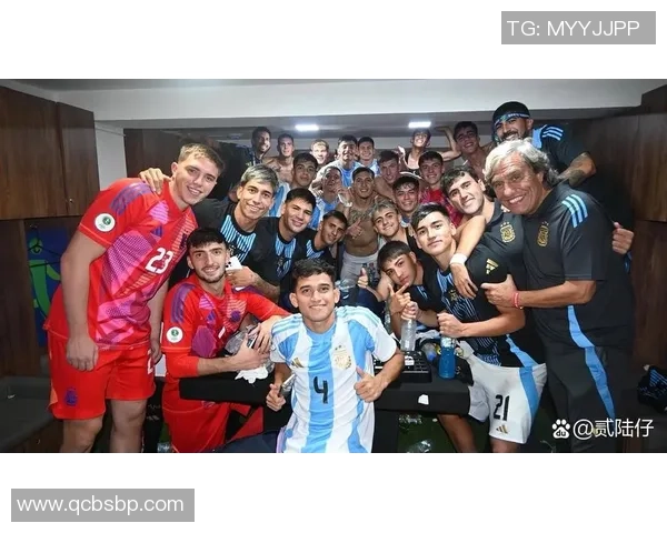 南美足球明星全解析及其辉煌成就与个人资料详解