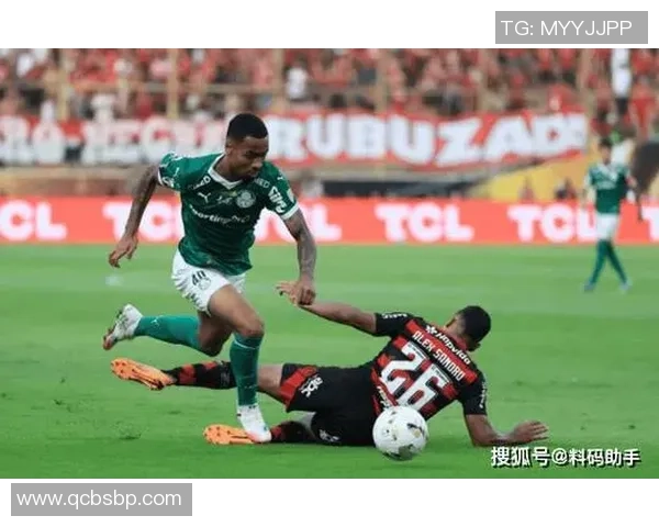 南美足球明星的璀璨星空与传奇故事盘点