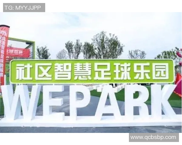 成都足球历史的辉煌与挑战探索城市足球文化的传承与发展