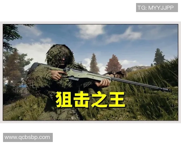 深度探讨杨秀英在和平精英中的成长与人生哲学