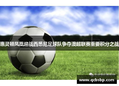 惠灵顿凤凰迎战西悉尼足球队争夺澳超联赛重要积分之战